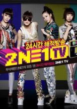 2NE1 TV: Season 1 (2009)
