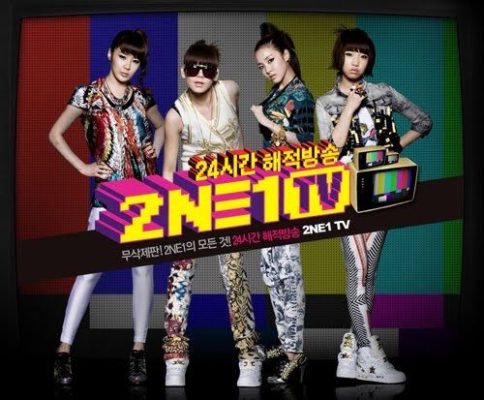 2NE1 TV: Season 1 (2009)