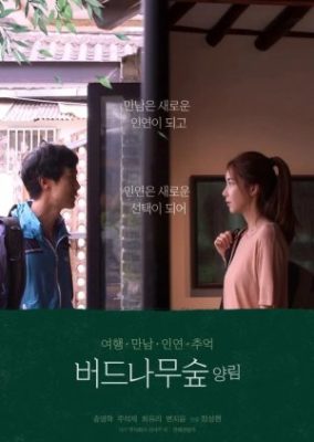 Willow Tree Forest Yangnim (2021)