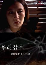 Drama Special Season 3: Glass Prison (2012)