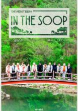 Seventeen in the Soop: Behind the Scenes (2021)