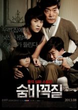 Hide and Seek (2013)