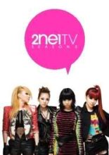 2NE1 TV: Season 2 (2010)