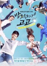 Sassy Go Go