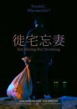 Not Waving But Drowning (2019)