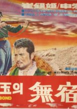 The Homeless Wanderer (1968)