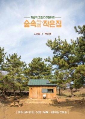 Little House In The Forest (2018)