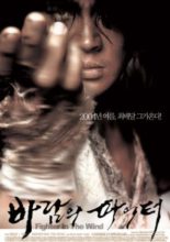Fighter in the Wind (2004)