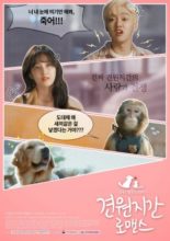 Monkey and Dog Romance (2018)