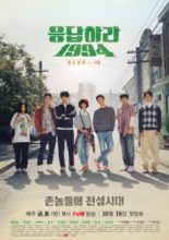 Reply 1994 (2013)