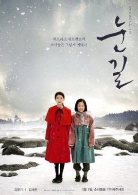 Snowy Road (2017)