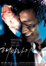 Sunflower (2006)