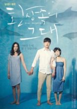Dear Dolphin (2013)