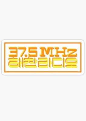 37.5MHz HAECHAN Radio (2020)