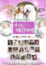 Suspicious Dog Cafe (2015)