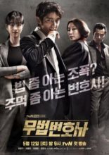 Lawless Lawyer (2018)