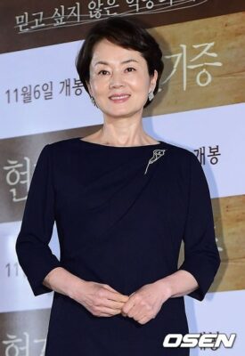 Kim Young Ae