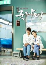 Good Doctor (2013)