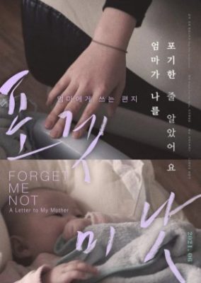 Forget Me Not: A Letter to My Mother