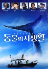 Secrets of Wildlife (2018)