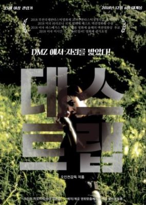 The DMZ