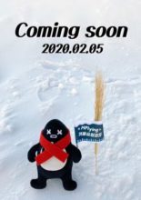 N.Flying Seunghyub's Winter Camp (2020)