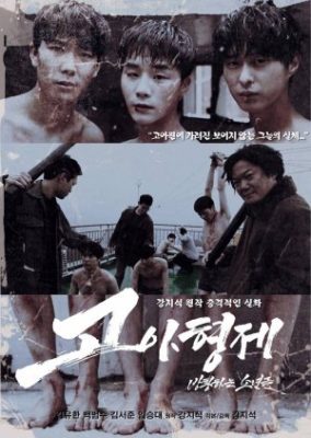 Orphan Brothers: The Wandering Boys (2016)