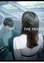 The Perfect Wife (2019)