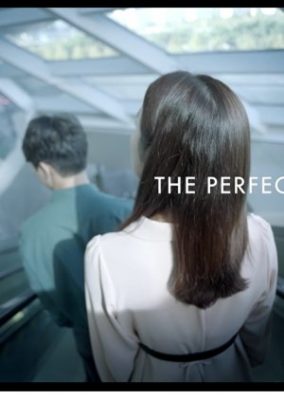 The Perfect Wife (2019)