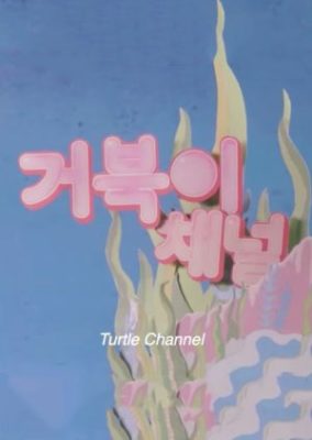 Turtle Channel (2020)