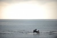 A Piano On The Sea