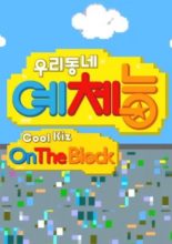 Cool Kiz on the Block (2013)