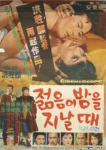 When the Youth Passing Through the Night (1964)