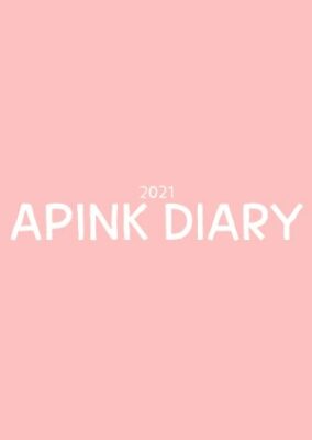 Apink Diary Season 8