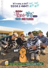 Youth Over Flowers : Australia (2017)