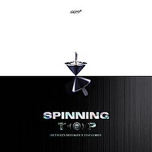 GOT7 Monograph “Spinning Top : Between Security and Insecurity”