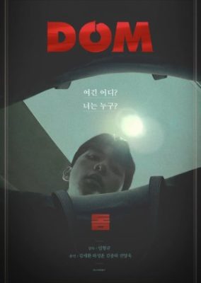 Dom (2017)