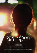 Black Dove (2011)