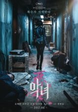 The Villainess (2017)
